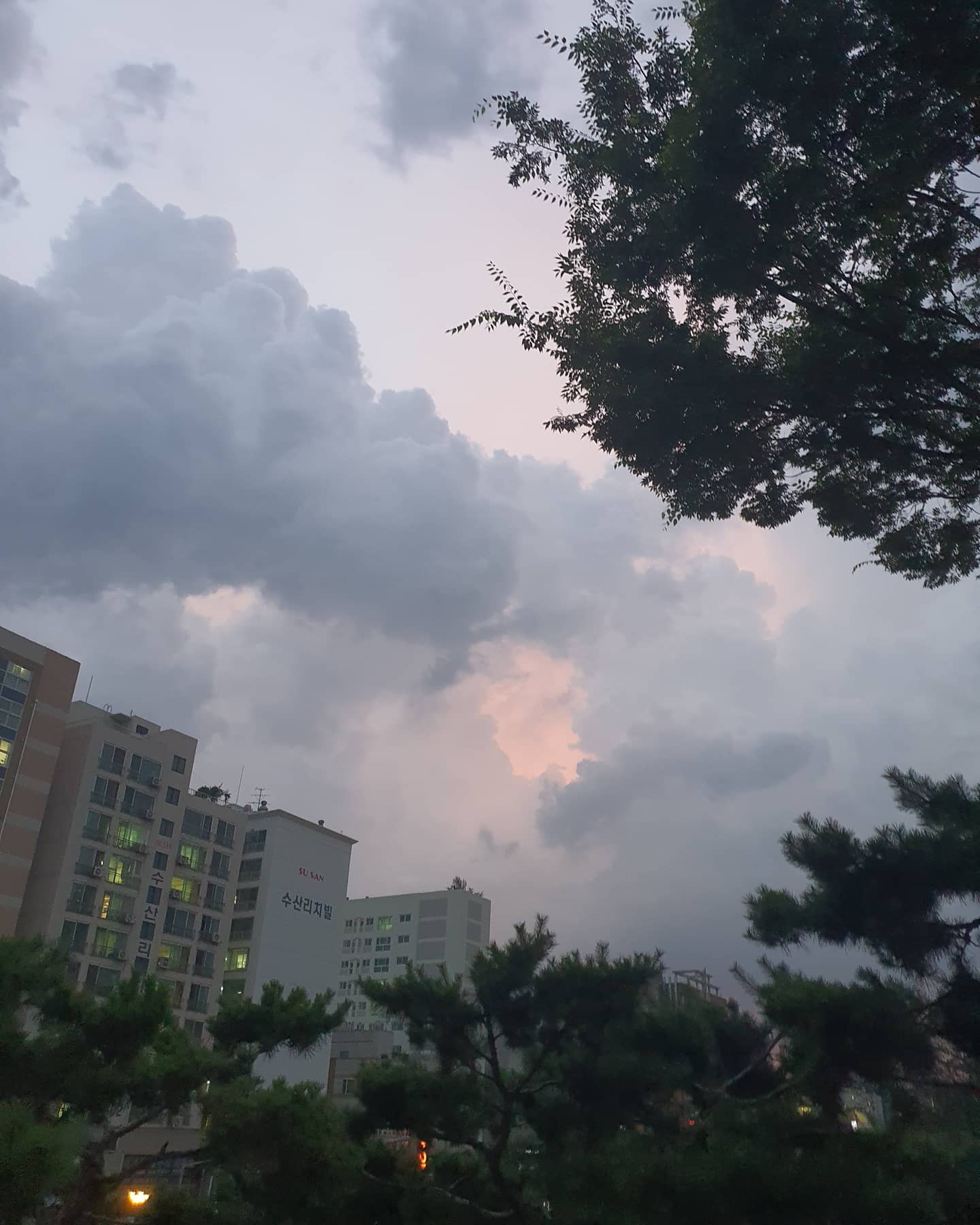 하고싶은거, 좋아하는거.
고민될 때 있지?

난 지금까지 열심히 달려 온 너를 응원해.
너가 무엇을 하든,

수많은 좌절과 시련이 너를 힘들게 해도
내가 늘 뒤에서 두 팔 벌려 너의 그림자까지 모두 감싸안아줄게.

뒤도는 것이 두렵다면 넌 그저 내 그림자가 너의 곁에 늘 있다는 것을 봐줄래?

포기하지마.
포기하지 않았으면 좋겠어.

난 너를 응원해

#새벽감성 #감성글 #글쟁이 #글쓰는감성쟁이 #책 #일상 #소통 #wishyourhappiness #일상기록 #일상의행복 #당신을응원해 #소중한사람 #감성충전 #위로 #인간관계 #상처 #토닥토닥 #오늘도고생했어 #더욱행복하길 #응원해 #그림자 #늘너의곁에 #너의꿈을응원해 #포기하지마 #어둠 #안아줄게 #사진 #photography