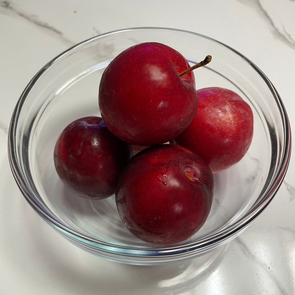 [망구네집] 망구자두 너무 새콤해!!:)🍒