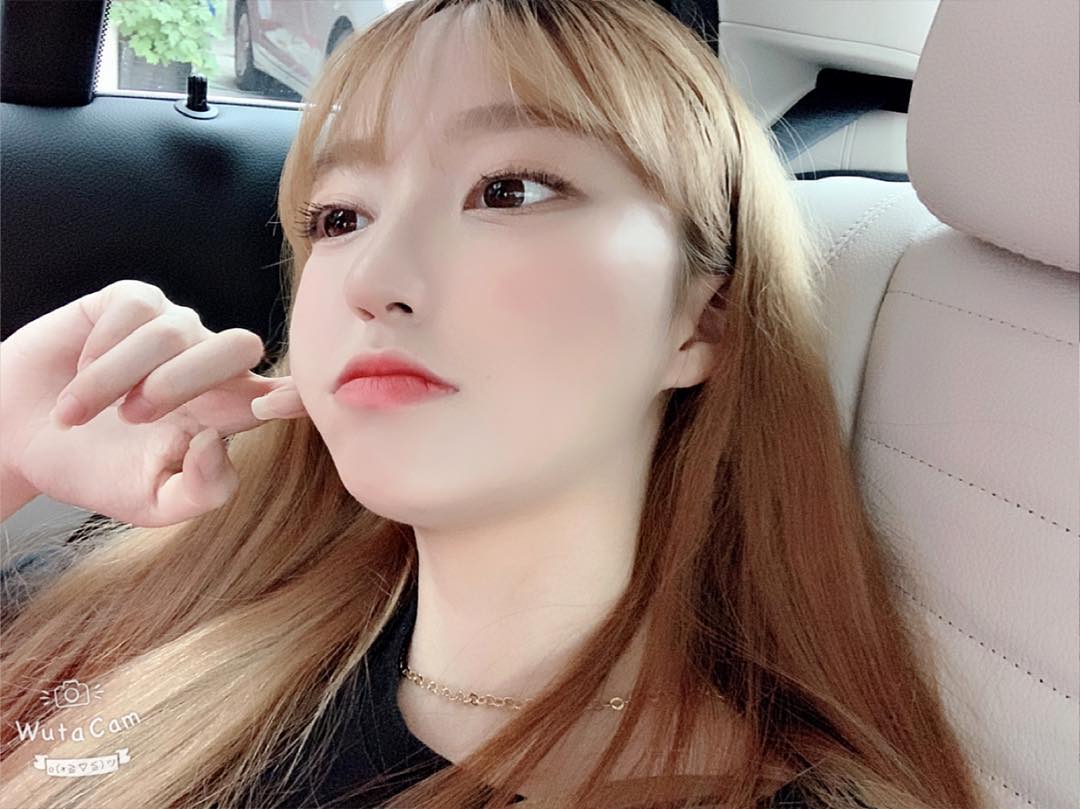 콘텐츠