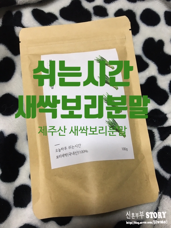 제주산 새싹보리분말