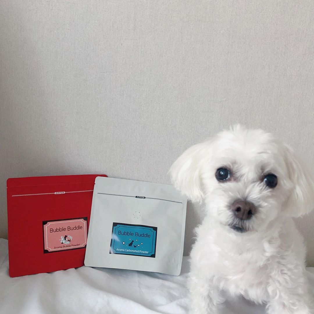 승연 on Instagram: “#스킨365 #버블부들 ✨강아지 천연 아로마 입욕제✨ 이제는 강아지 스파를 집에서 🏠 탄산스파, 거품스파  두 가지 제품이며 강아지 샴푸 후 린스 대용으로 사용하시면 됩니다 🐶 ❤️ . . ✔️ 냄새 제거 ✔️ 각질 제거 ✔️ 피부 보습 ✔️ 가려움…”