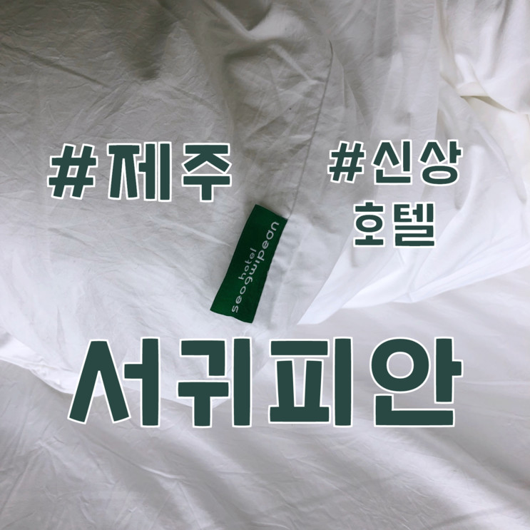 서귀포 보목동에 위치한 신상 호텔 서귀피안!