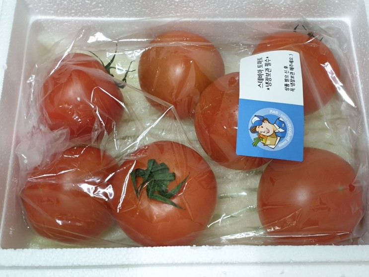 장보남 토망고 설탕토마토 스테비아토마토 달콤하고 좋아 ♥