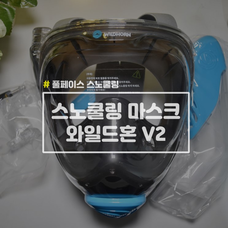 [여름 물놀이 필수템] 차세대 스노쿨링 마스크 와일드혼V2 실제 사용 후기
