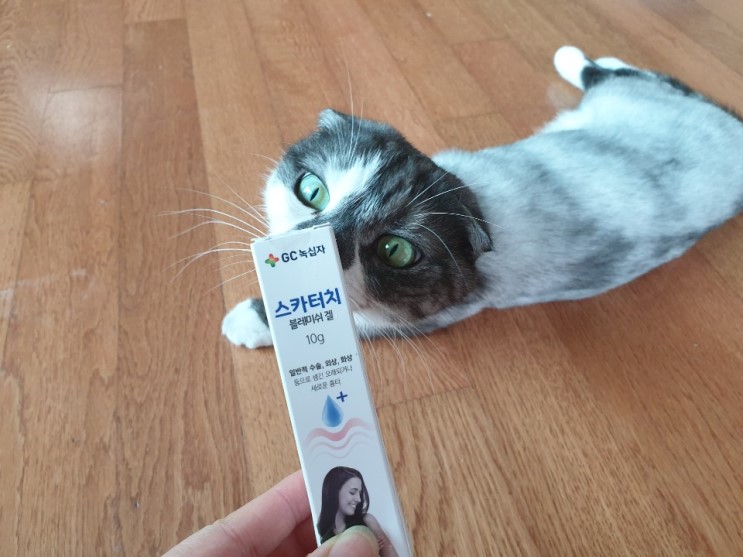 스카터치 블레미쉬 겔 흉터연고 사용기예요!