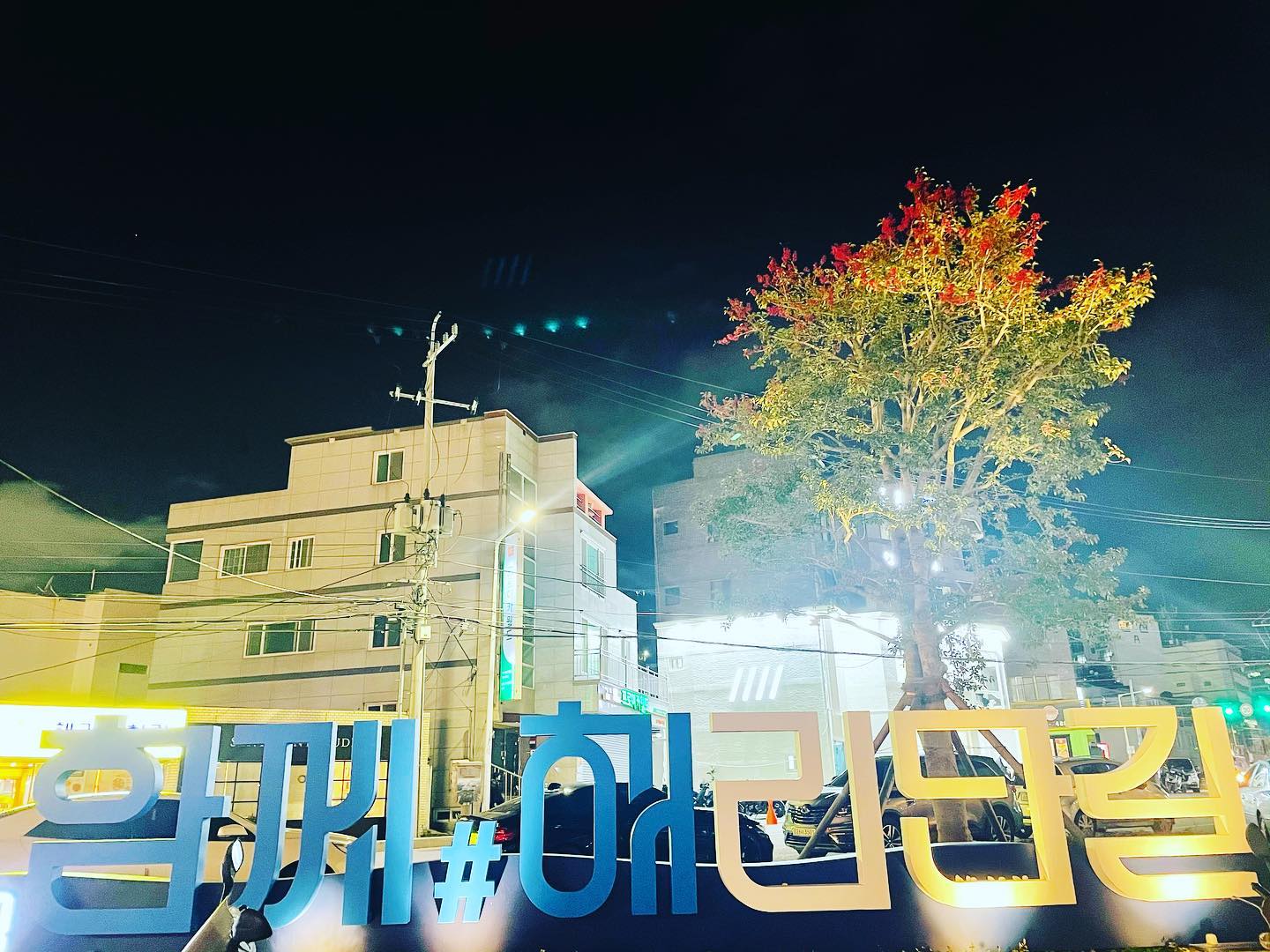 콘텐츠