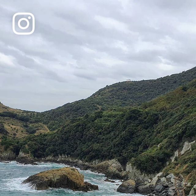 딩딩 캠퍼 on Instagram: "캠핑하러 가면 그 동네에서 유명한 음식, 술 먹어보는데 그게 엄청 재밌어요!
이 날도 진짜 다 넘나 맛있었어요ㅠㅠ
바다 보면서 먹으니까 꿀맛...🤤
음식 모게용ㅋㅋㅋㅋㅋㅋ
#딩딩캠핑"