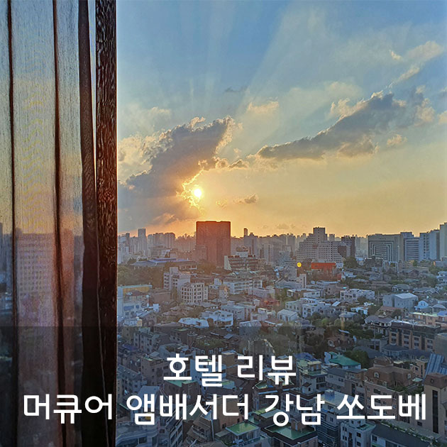 [강남 호텔]머큐어 서울 앰배서더 강남 쏘도베 프리빌리지 호캉스 1탄(해피아워, 루프탑)