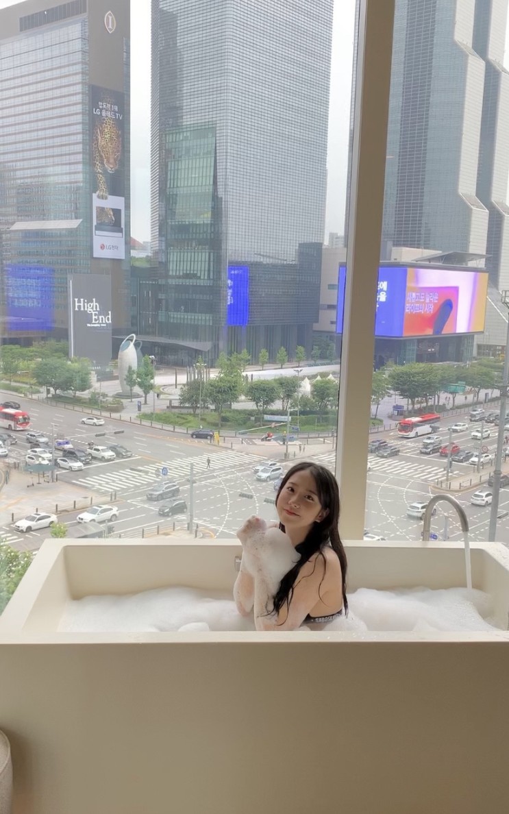 파크하얏트 서울 : 호캉스 다녀왔어요 🕊✨