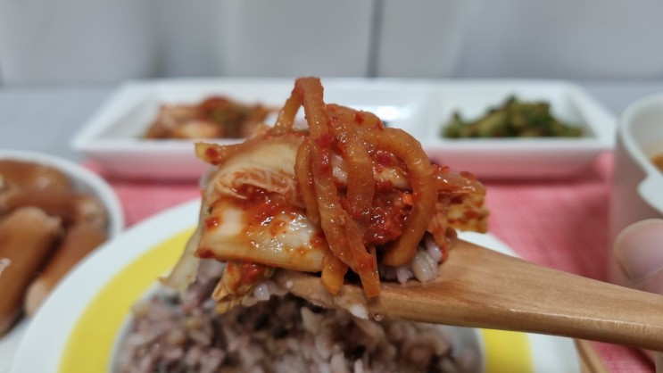 저염김치 국내산100% 업소용국산김치 김치한조각