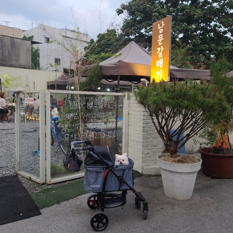고기가 신선하고 맛있었던 청주 애견동반 남문갈매기