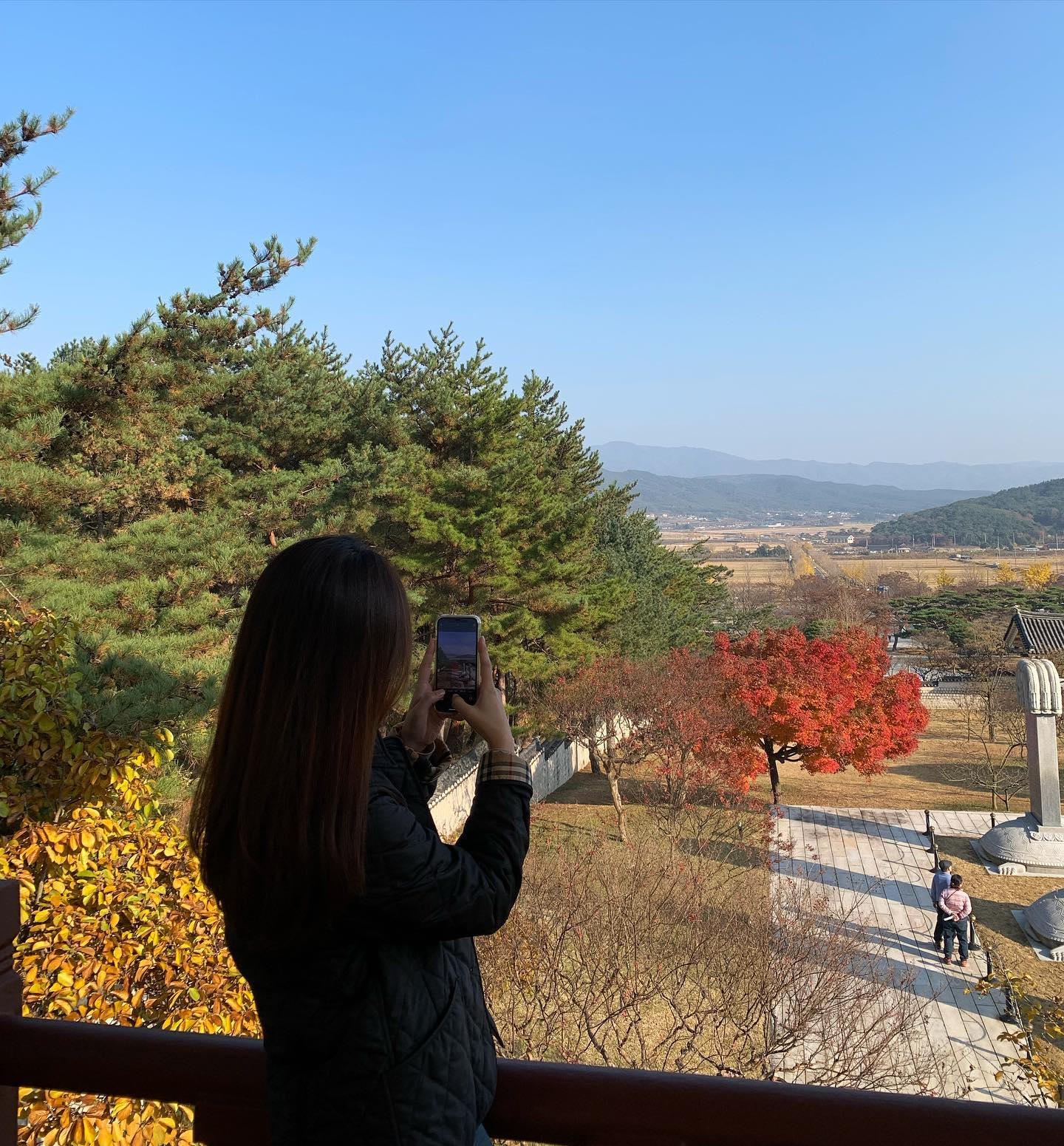알록달록 예뻤던 11월의 경주 🍁