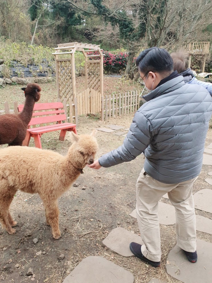 제주아이와가볼만한곳 추천, 애월가볼만한곳 화조원 제주동물원 아이가 좋아해요!