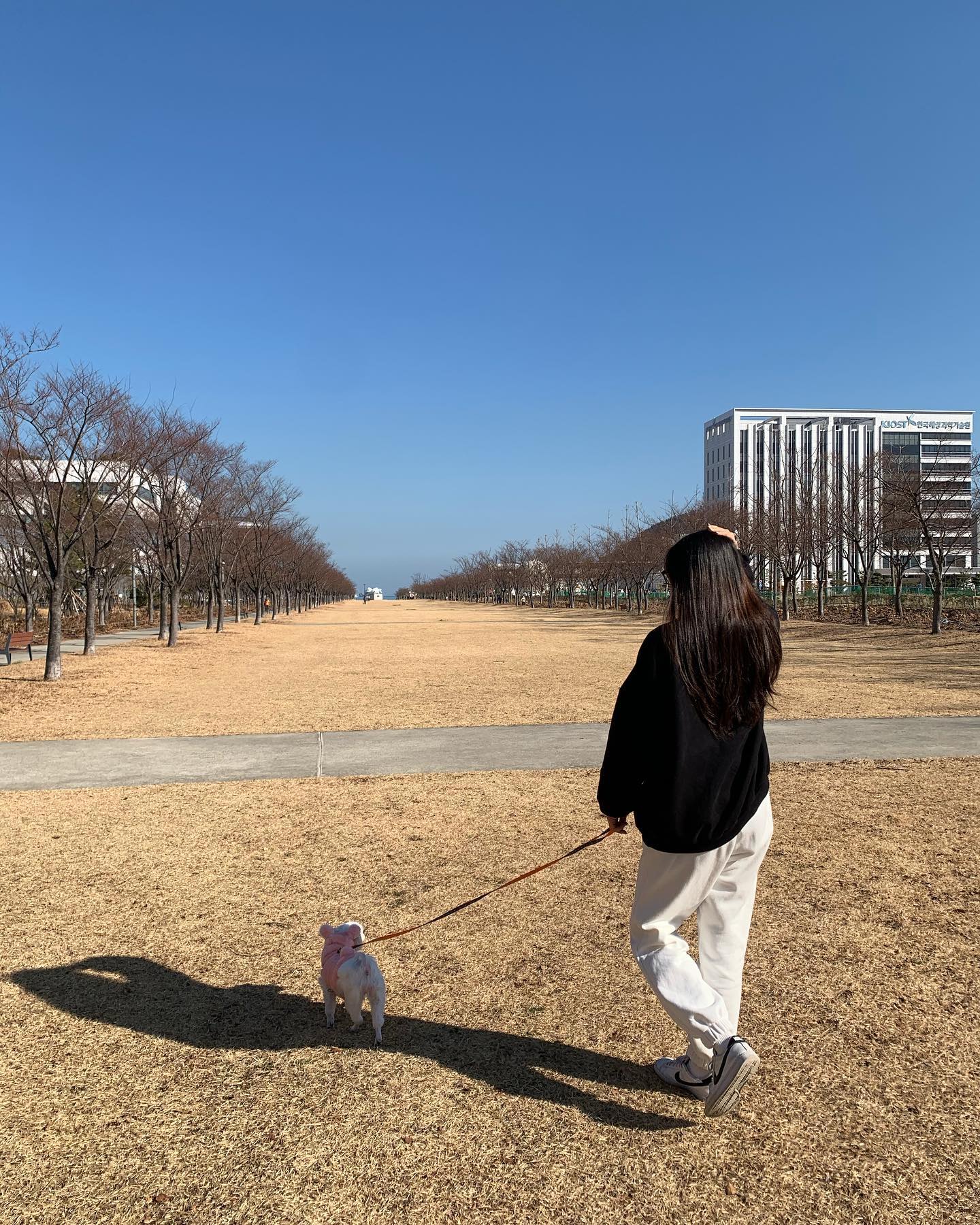 동생 산책 시키기 ෆ