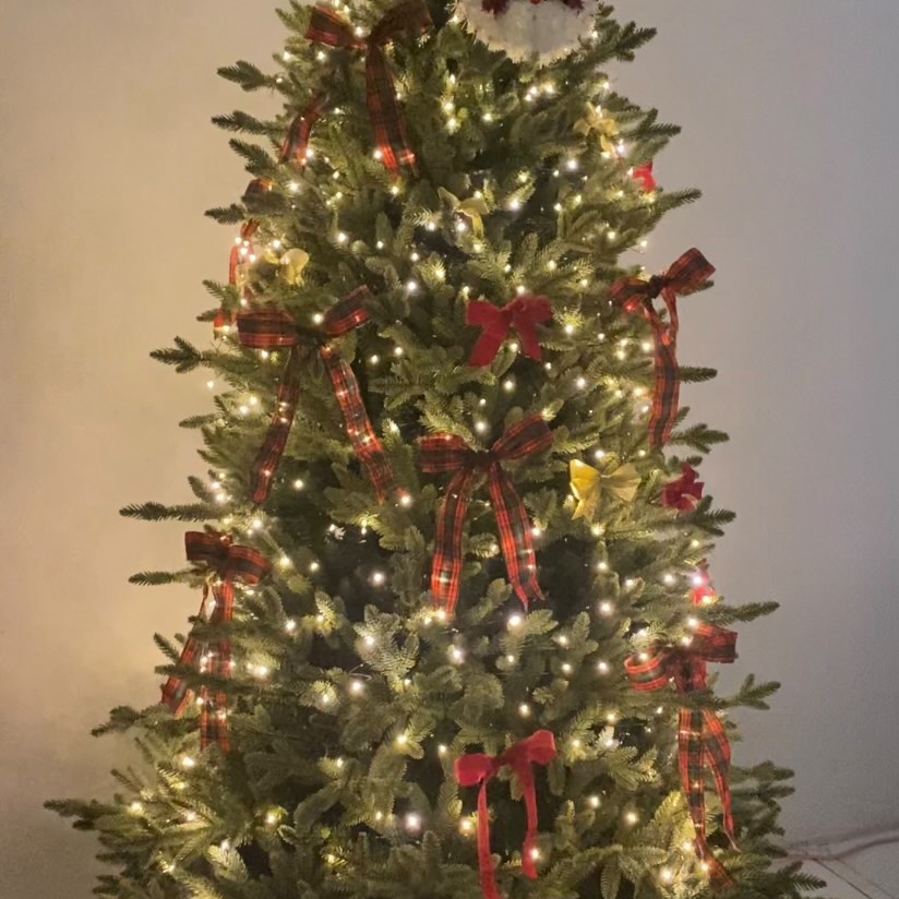 로메인에 크리스마스 왔당
🎄☃️🎅🏻