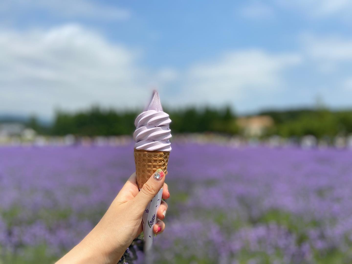 재작년에 갔던 라벤더 축제💜

화창한 날씨와 라벤더 향 가득했던 곳,

보라빛, 자연의 색은 너무 아름다워요💜

#라벤더아이스크림 #라벤더축제 #꽃스타그램 #감성사진 #보라보라해💜 #throwback
