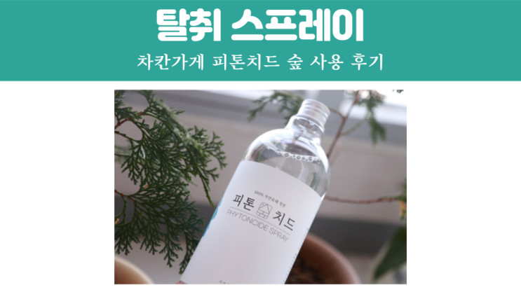 천연탈취제 항균스프레이 차칸가게 피톤치드숲 솔직 후기