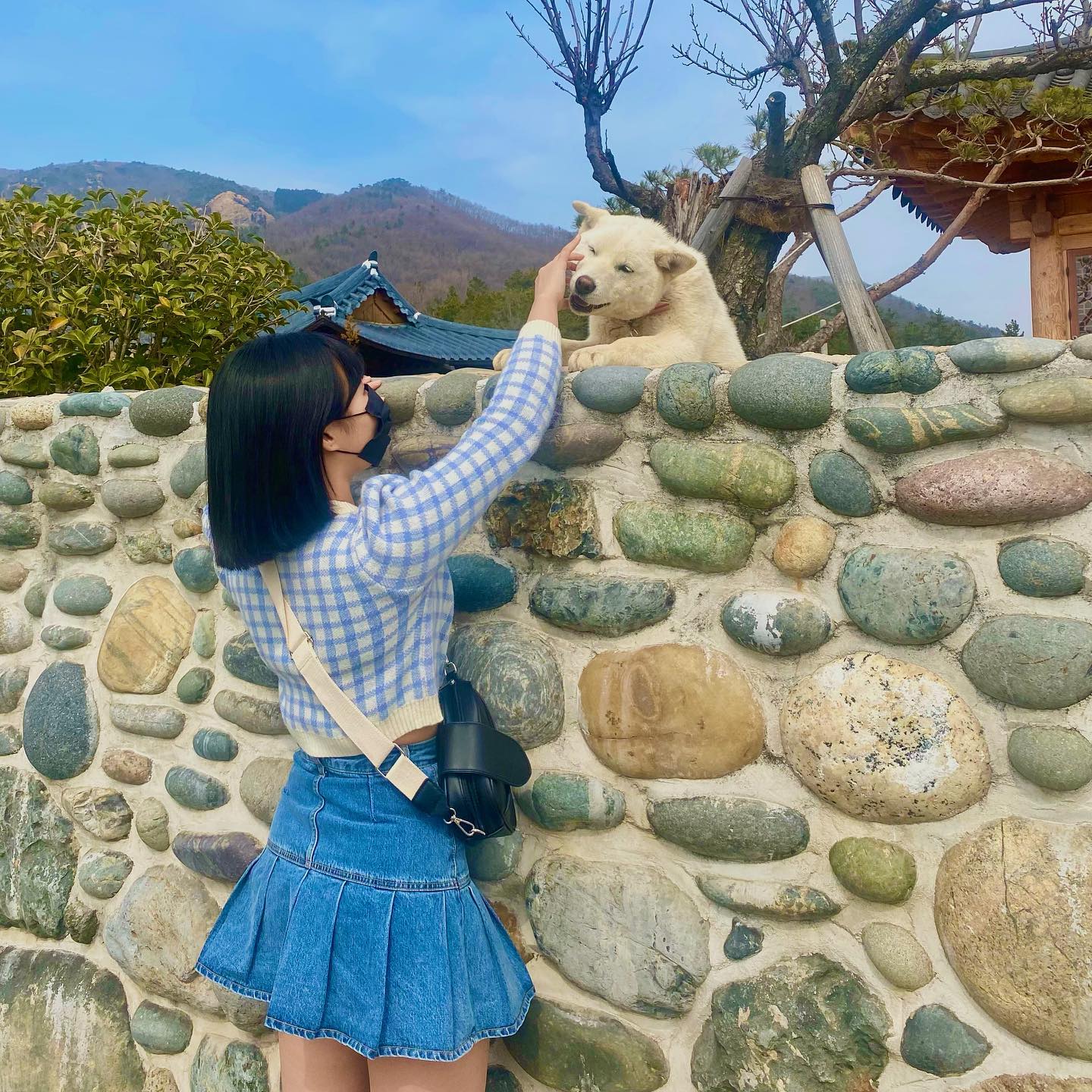 까치발들고 간신히 만져따🥺🐶