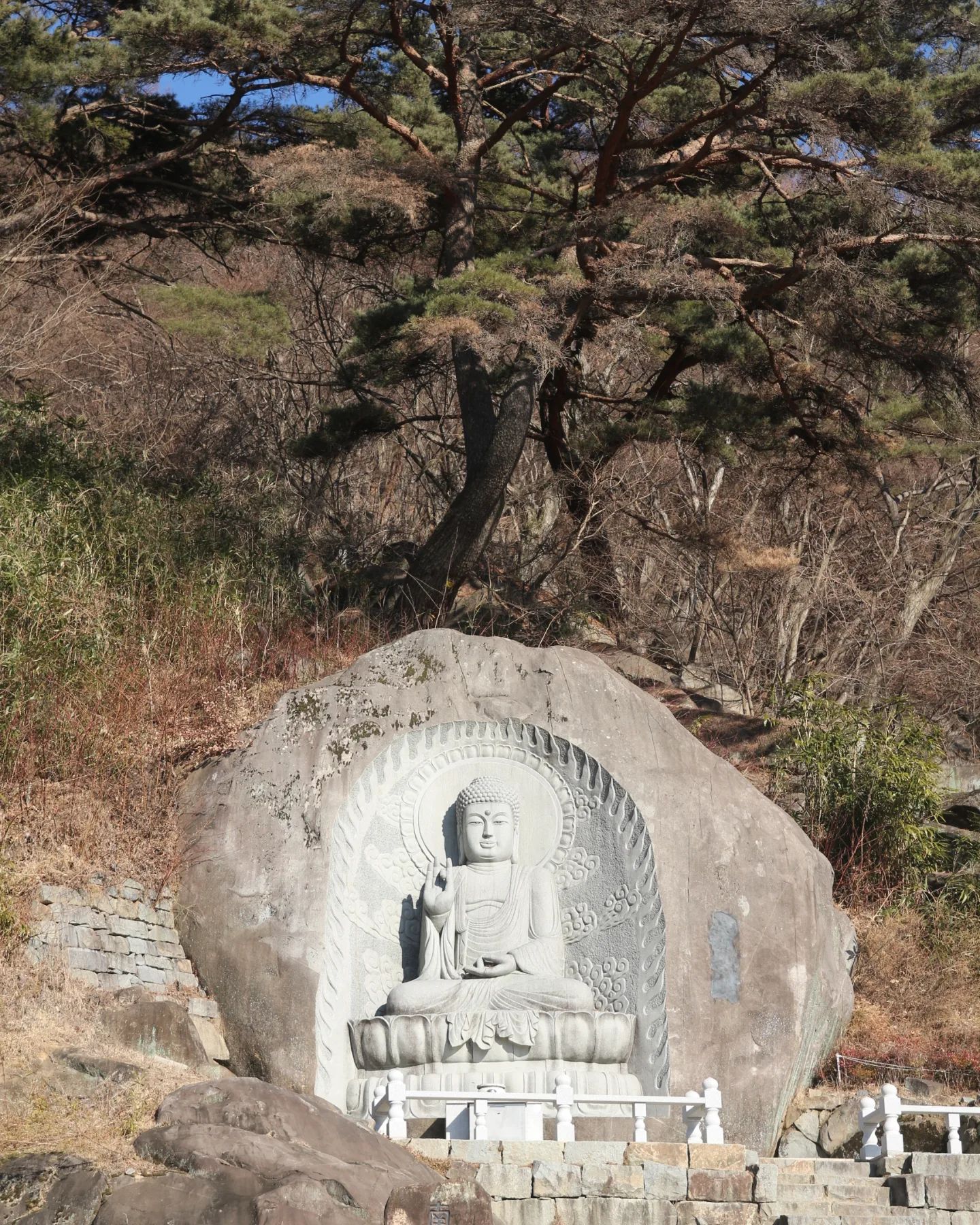 만어사까지 가서 불상 사진을 빠트리긴 좀 그래서 🤐

📷 : 캐논 eos 100d + 탐론 17-50

#인물사진 #캐논 #캐논100d #강아지 #탐론1750 #탐론 #좋반 #fff #맞팔 #선팔 #선팔하면맞팔 #절 #밀양 #만어사