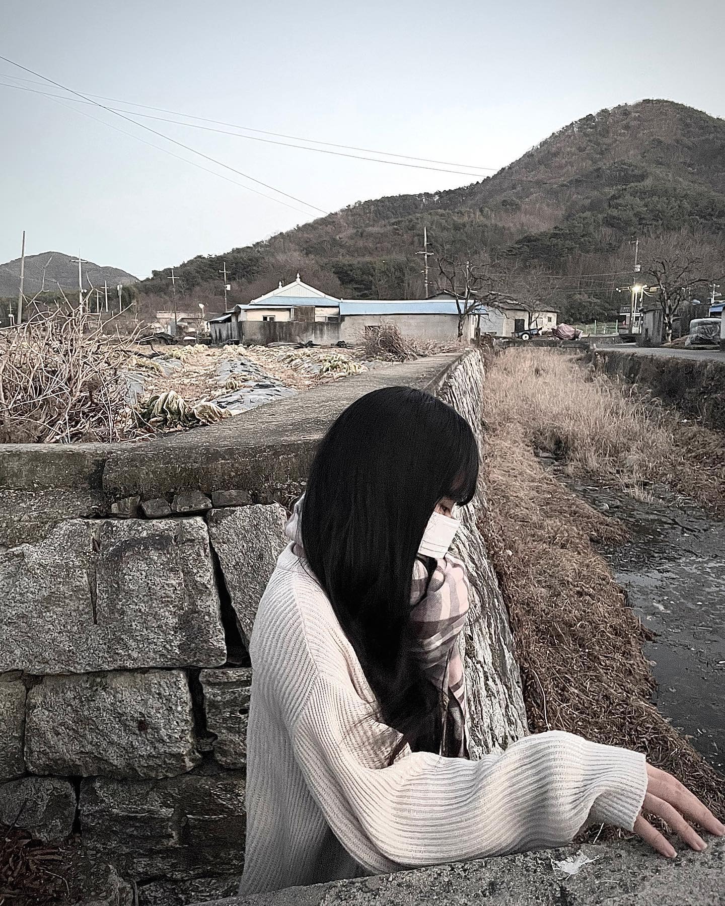 콘텐츠