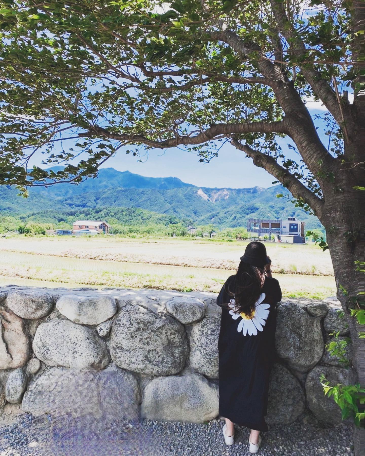 #여행그램 

논밭과 설악산뷰를 가진 이쁜 카페 스테이 오롯이🌳

바람이 많이 불어 재난 영화를 찍고 왔지만 바람없는 날 다시 가고픈 곳🌳

#스테이오롯이 #속초카페 #여행 #논밭뷰 #설악산뷰 #힐링카페 #바람아멈춰 #초록초록🌿