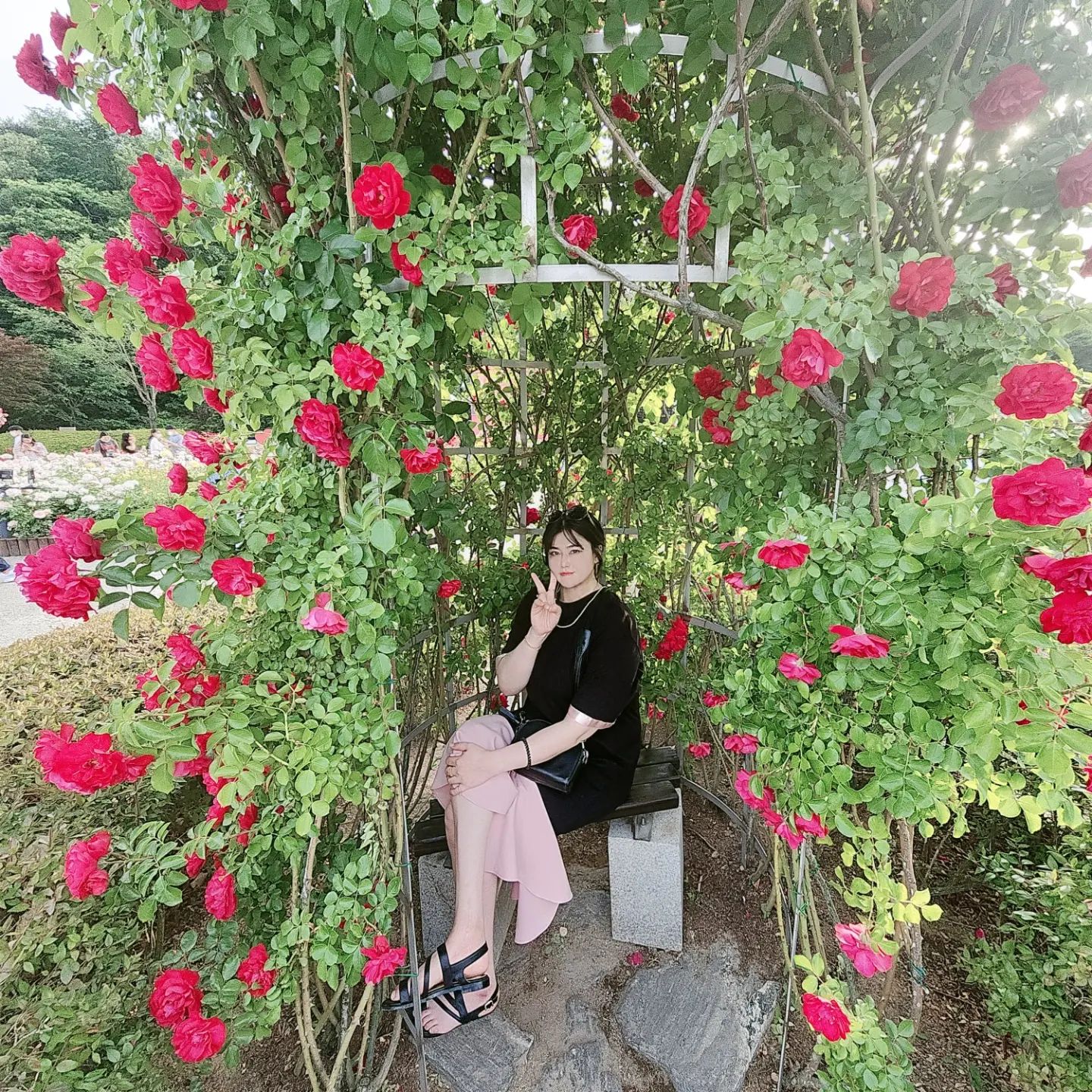 #울산대공원장미축제 

2022.05.28

장미 보러가고 싶다고 노래 불러서
울산까지 장미보러🌹
사람이 너무 많아 주차하는데 애먹었..

셀카봉삼각대 리모컨 잃어버려서
투샷은 못찍고ㅠㅠ

#셀기꾼주의🚨
#장미축제
#장미포토존🌹
