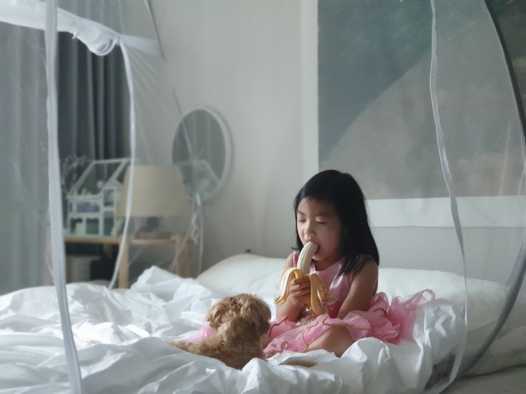 클라씨 원터치모기장 침대에 간편하게 설치하는 원터치!