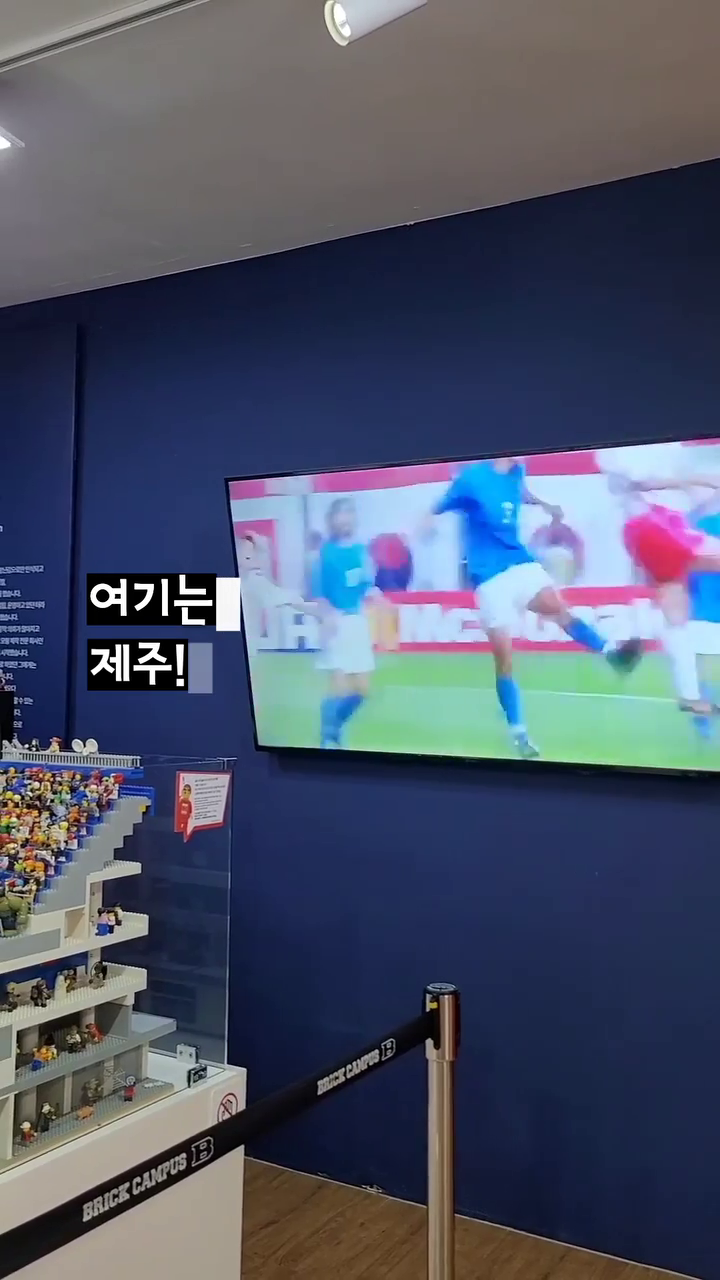 제주..
어디까지 가볼까?

#제주#브릭캠퍼스제주#레고작품
#시원하다