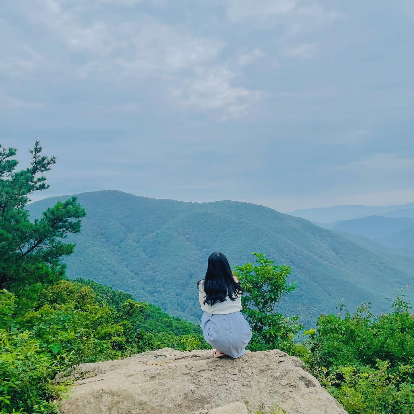 날씨가 조금 아쉬웠지만 그래도 아름다운 전경을 볼 수 있었던 경주 화랑의언덕💚

📍경주 화랑의언덕