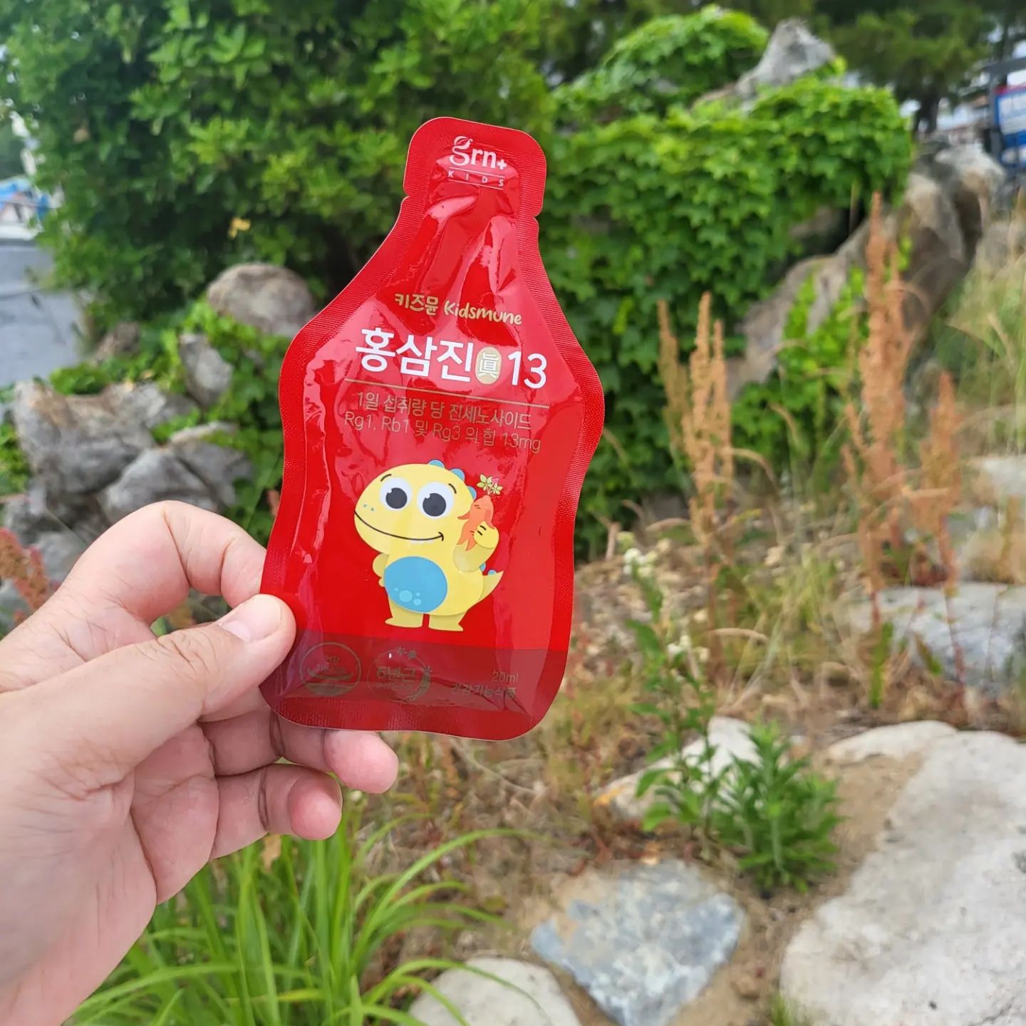 #협찬
.
꾸준히 아이들에게 홍삼을 챙겨주고 있는데 홍삼제품은 아이가 대체적으로 쓰다고 안 좋아했는데 #키즈뮨홍삼 은 달콤하다면 먼저 챙겨서 먹어요.
.
100% 국내산 6년근 홍삼을 사용하여 몸통과 뿌리 7:3 황금배합한 프리미엄 어린이 홍삼이에요.
.
아이들 제품중에  초고함량 진세노이드 함유되어 1포당 진세노이드 13mg이 들어있어 너무 마음에 들어요.
.
좋은 원료로 만들고 딸기맛으로 엄마들 사이에 입소문나 먼저 찾는 브랜드라는 걸 새삼 더 느끼게 되는 것 같아요.
.
GRN은 건강기능식품 전문 브랜드로 자회사 연구센터를 보유하고 있어 원료확인부터 생산까지 모든 과정을 전문가들이 깐깐하게 직접 관리해 안심할 수 있어요.
.
.
#홍삼 #홍삼공구 #GRN키즈뮨홍삼진 #키즈뮨홍삼진 #키즈뮨홍삼진13 #키즈홍삼 #어린이홍삼 #어린이홍삼추천 #면역력 #어린이선물추천 #육아스타그램 #남매스타그램 #아들스타그램 #딸스타그램 #맘스타그램 #육아맘 #육아꿀팁 #육아소통해요 #육아소통환영 #육아소통 #육아맞팔 #육아맘맞팔 #워킹맘 #육아중 #좋아요