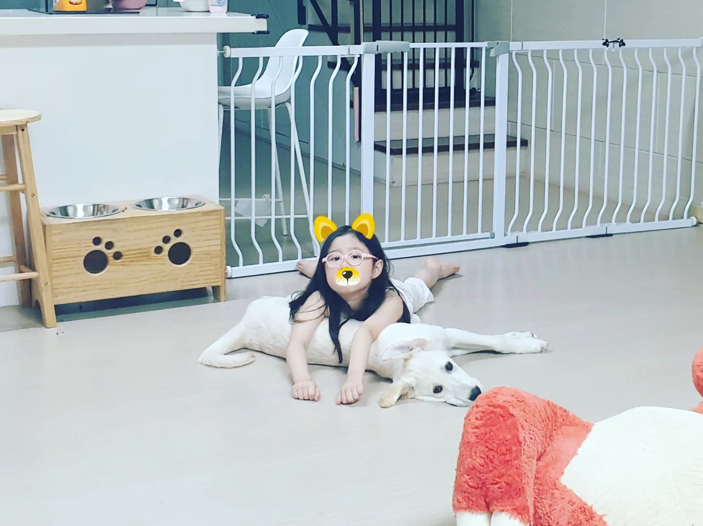 누나들 무겁다 멍🐶 

#멍멍이그램🐶 #멍멍이스타그램🐶 #멍멍이🐶 #댕댕이사랑 #댕댕이친구들환영 #강아지일상기록 #강아지아빠 #멍스타그램🐕