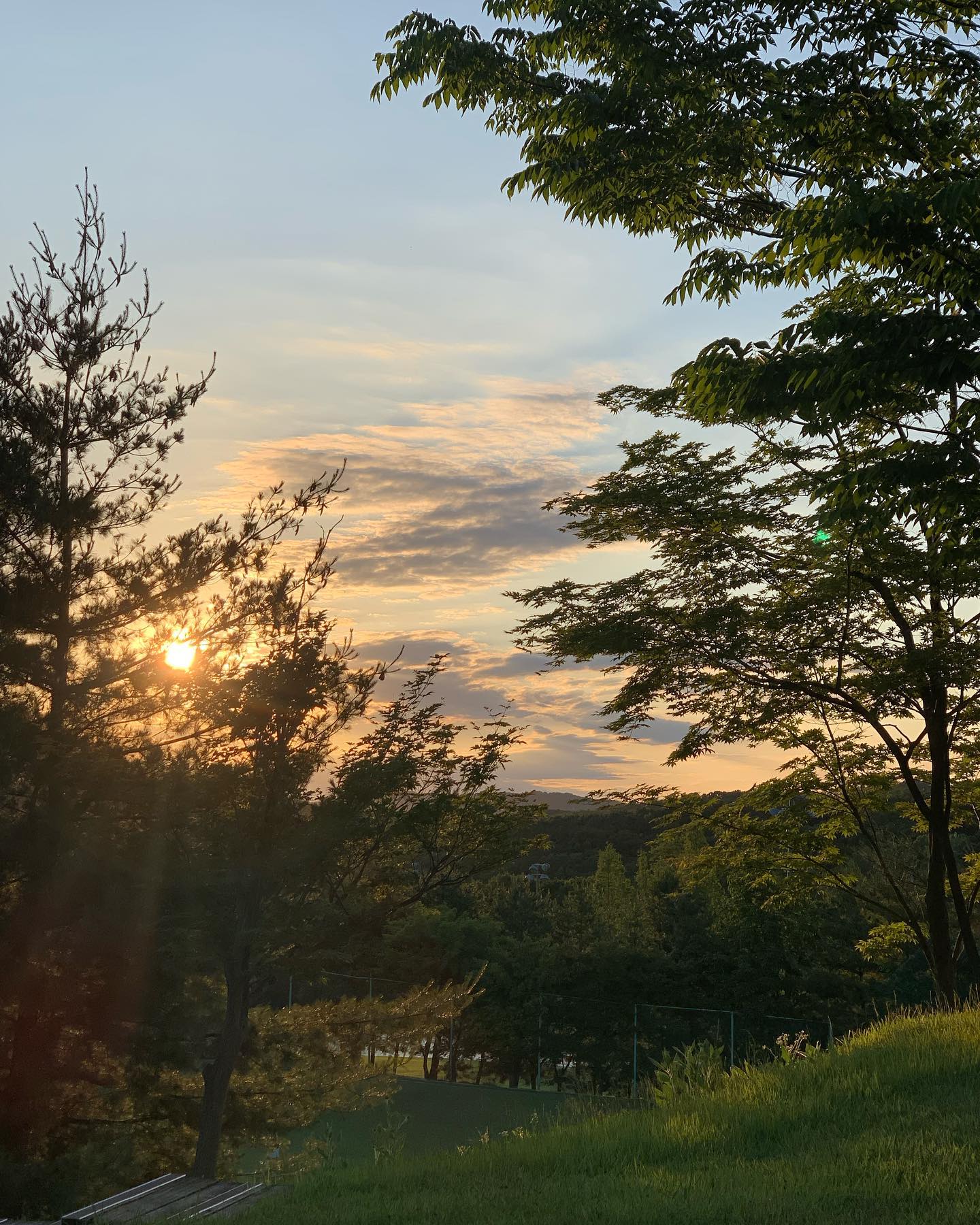 .
.
.
연습만이 살길⛳️
.
.
#파주 #제이퍼블릭 #행복한하루 #파주제이퍼블릭cc #골프장 #골린이 #데일리 #골프스타그램 #golflife #golf #💚 #golfstagram #fff