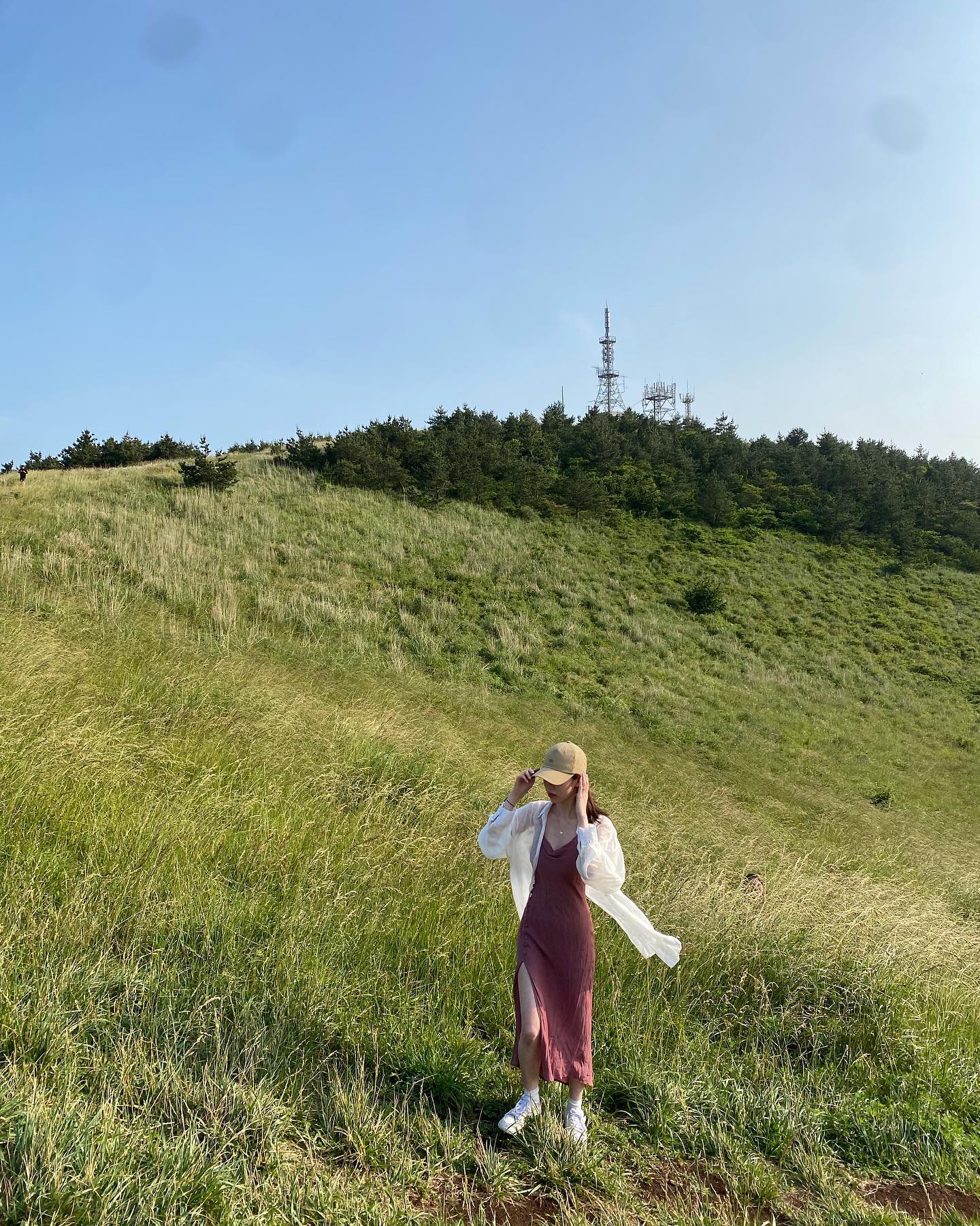 좋아해 제주 🌿