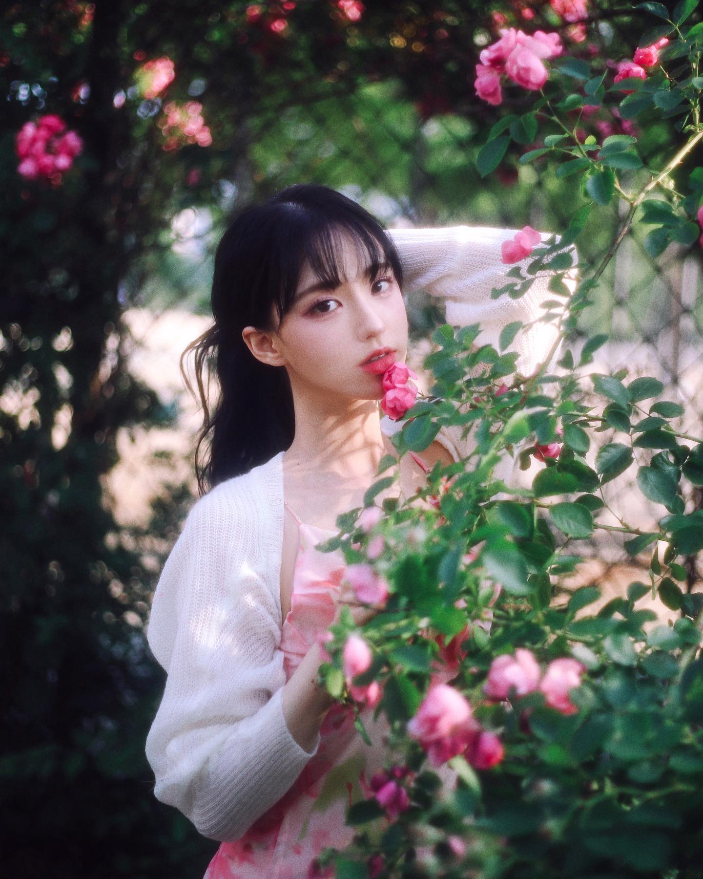 📷#쵸파필름
서울사는 요정이랑 급만남 꽃놀이🌹
역시 장미는 안젤라장미가 젤루 이쁜것같아요~.~
이다음에 집사면 마당있는 집을사서
마당에는 벚꽃나무랑 데이지 심고
울타리에는 안젤라장미넝쿨을 심어야지 하는 야무진꿈을 꿔봅니다
.
.
얼마전까지만 해도 비좀 내렸음 좋겠다 비 최고 했는데
어제 가로로 내리는 비때문에 등짝이 1분만에 젖어버리니까
이제 좀 작작내리면 안될까 하는 마음이 스물스물 생기네요🌝
.
.
8~9월 스냅촬영 예약받고있습니다!.!
본격 여름바다스냅 시즌이죠🙊
촬영문의는 DM이나 카톡으로 부탁드립니다🐋🐋🐋
#장미