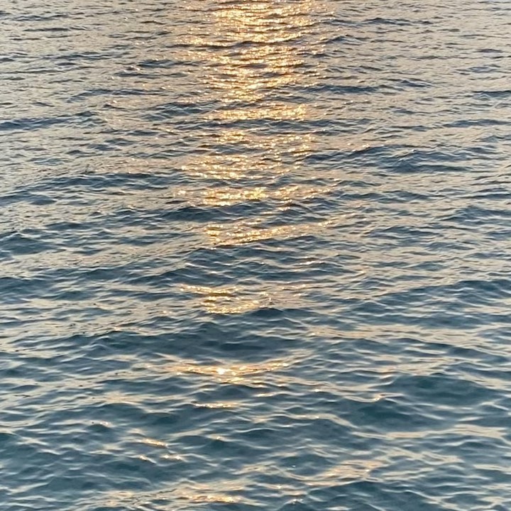 ̀⁽ᵕ̈⁾ ́