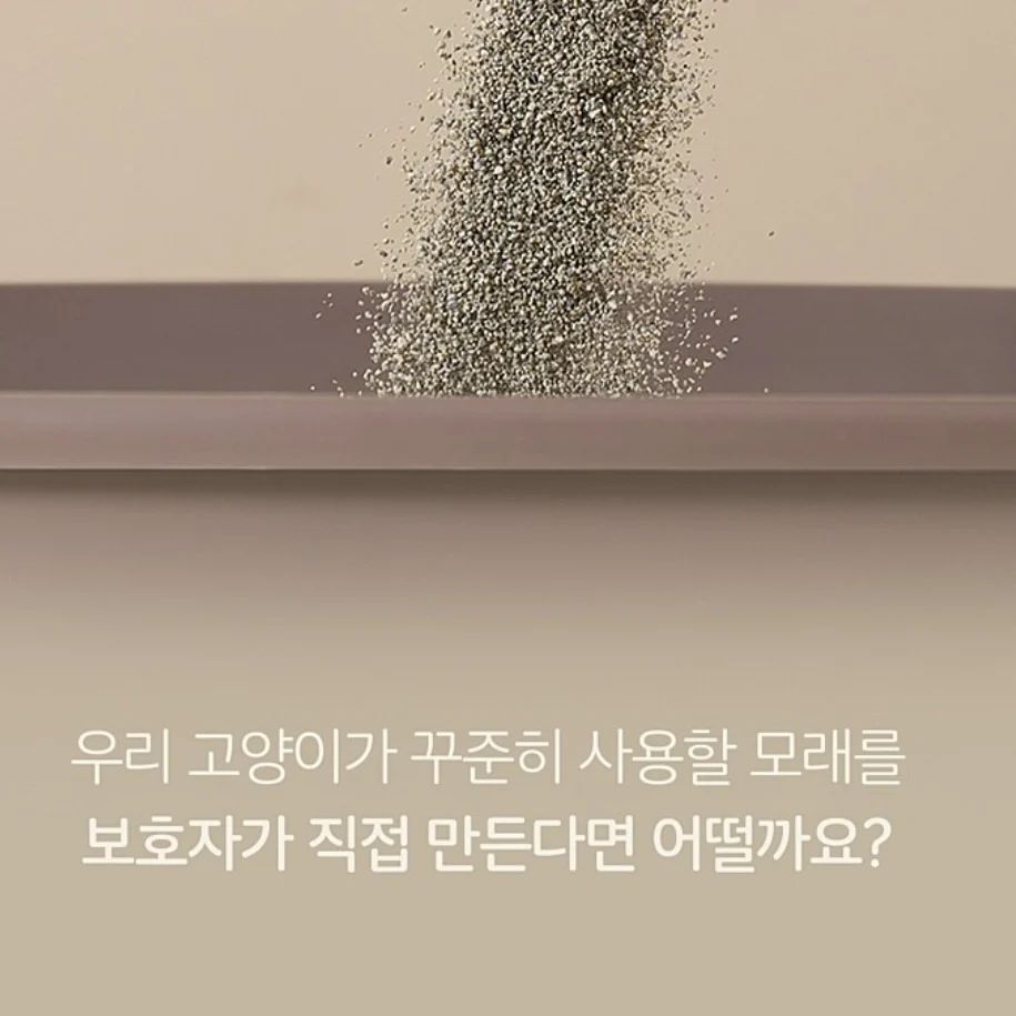 https://cafe.naver.com/ilovecat/7265133

#캣츠루틴