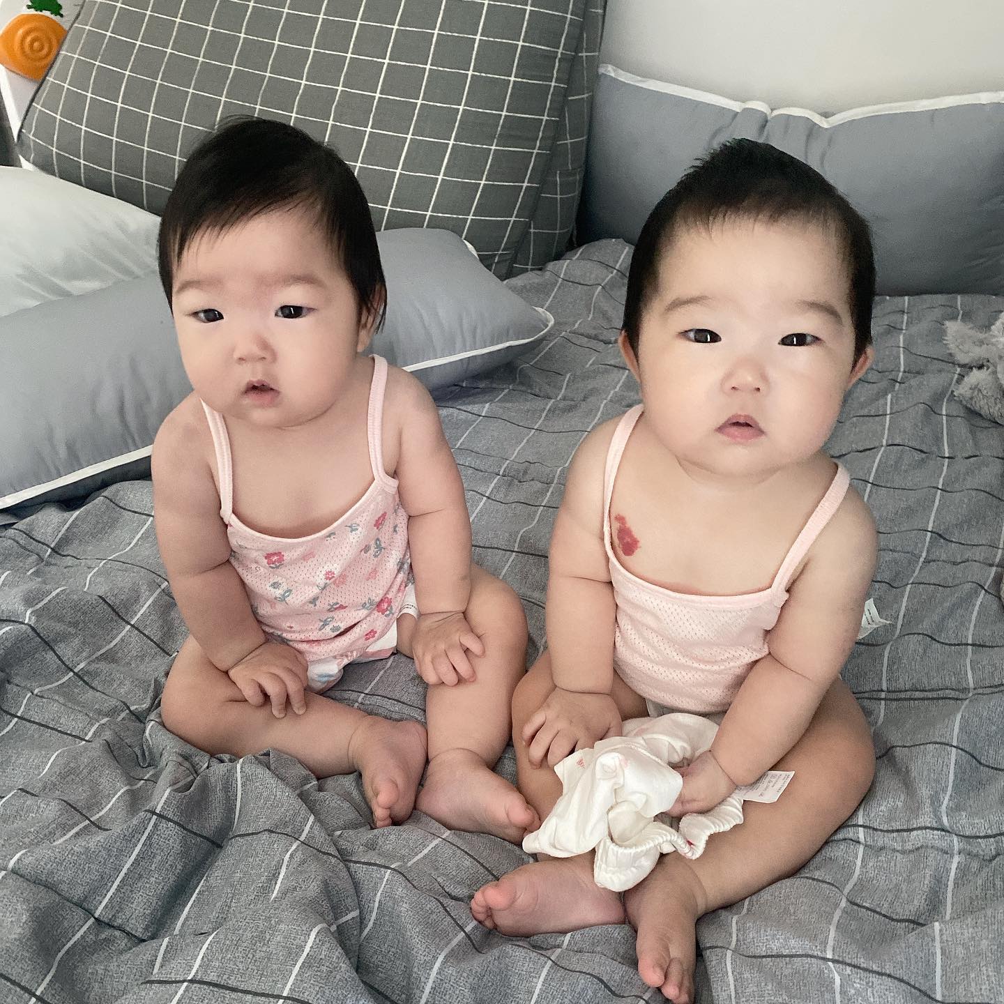 ｂｏｍｓｏｍ _

안녕하세요, 저희 둥이들 많이 컸죠??
다름이 아니라 부계정인 이 계정 말고
원래 본계정에 더 많은 사진을 올리고 
있어요😭, 다들 둥이들이 궁금하시면
n_bomsom 계정으로 놀러와주세요!