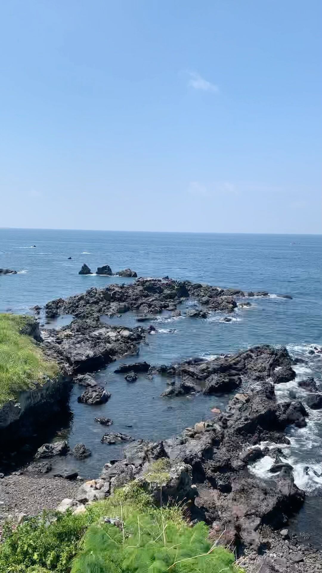남는건 동영상이라던 나진이 말을 따라
찍은 내멋대로 제주도 ,, 🍊
나도 내가 뭘 찍고 싶은건진 몰라