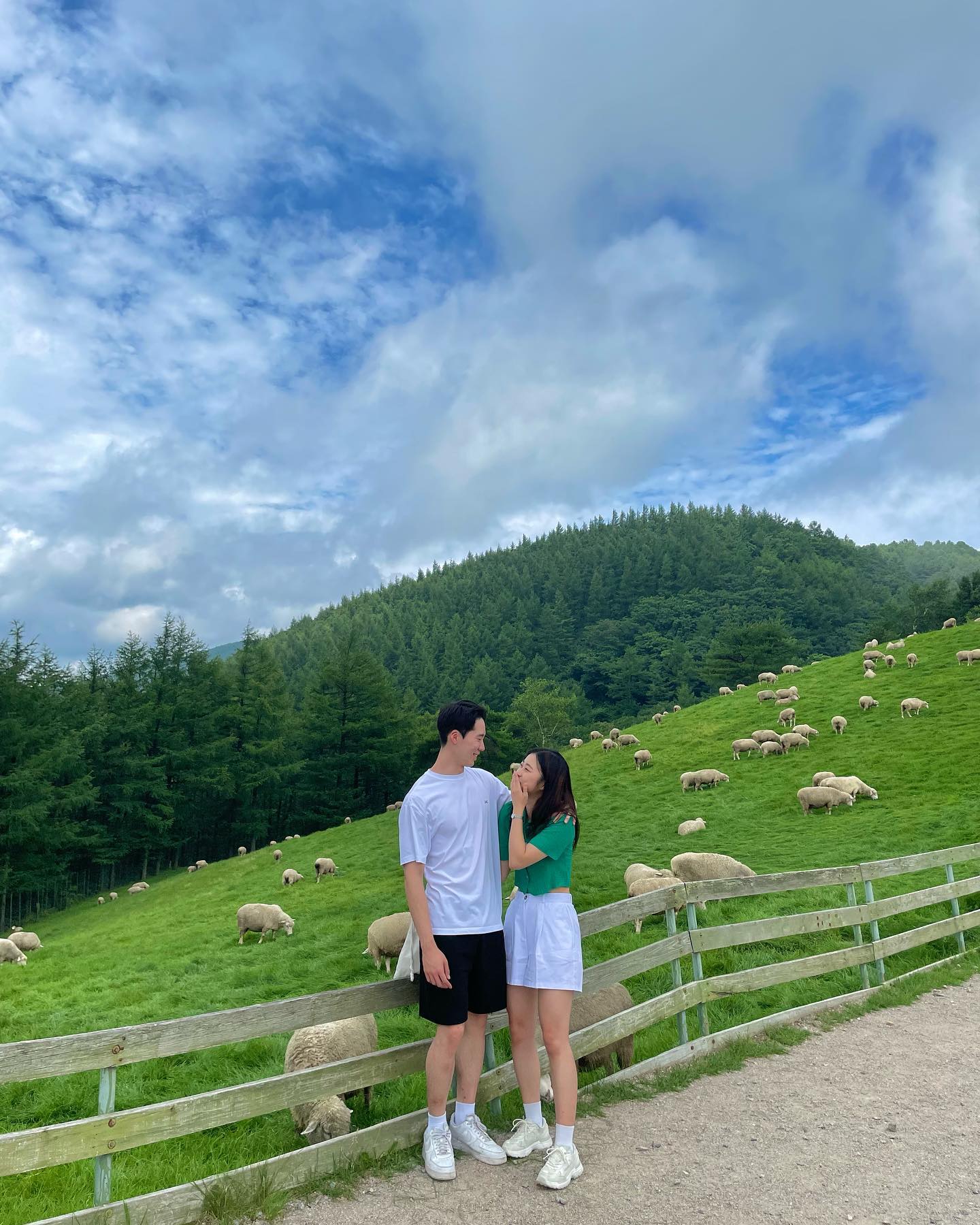 우리 곰탱쓰 나 놀아주느라 고생핸🐻‍❄️🫶🏻

#곰탱이랑 #여름휴가 #강원도 #강릉 #아르떼뮤지엄 #경포생태저류지 #대관령양떼목장 #연쮀의일상 #연쮀의여행 #럽스타그램 #여름너무더워에어컨을틀어