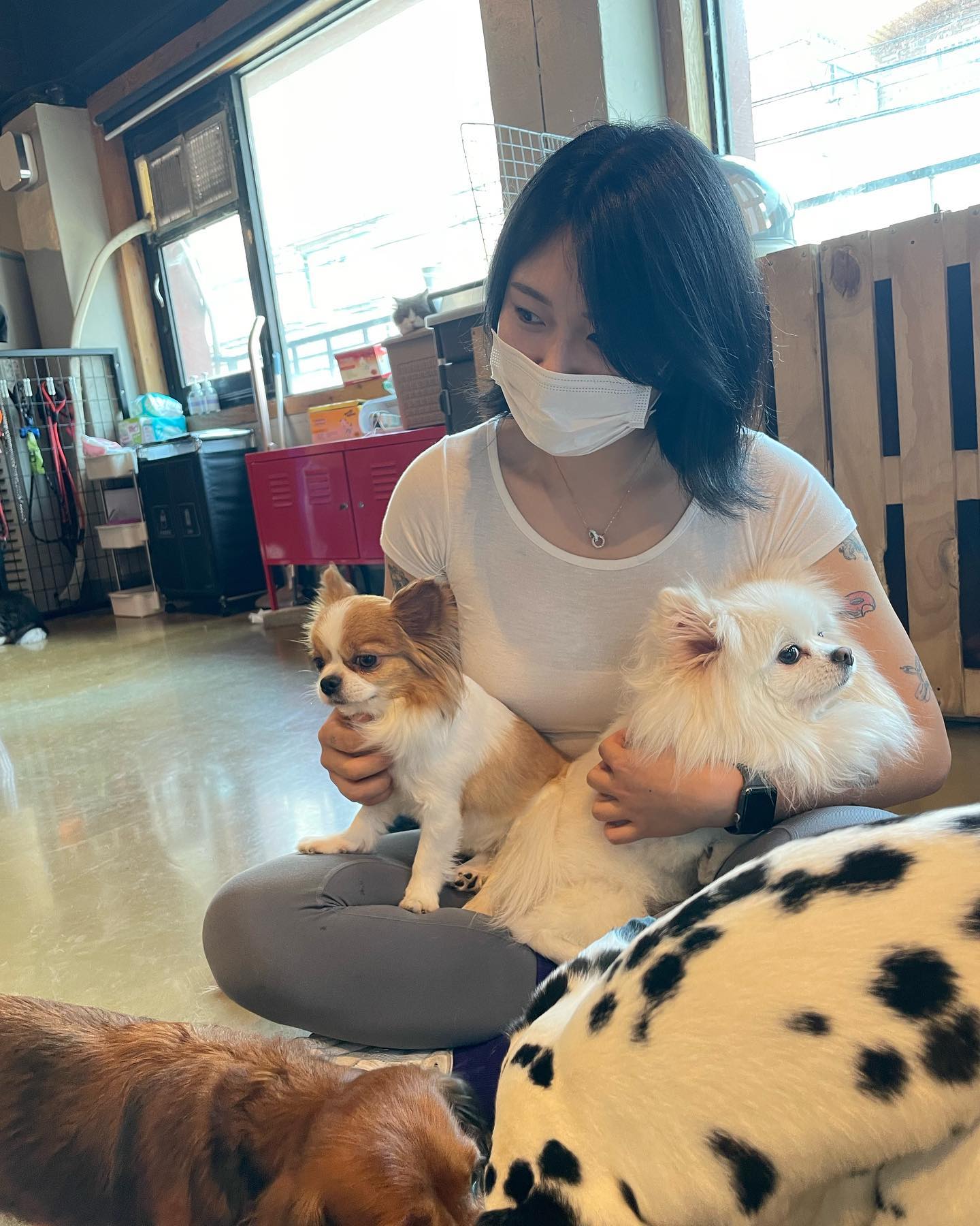 요즘 근황 : 귀여운 거 보고, 맛있는 거 먹고, 자격증 따고, 공부하고, 일-집-일-집, 그리고 조금씩 꾸준히 식단이랑 운동하는 일상 ✨

아프지 말자 건강이 최고니까 :) 
.
.
#근황 #주말 #일상