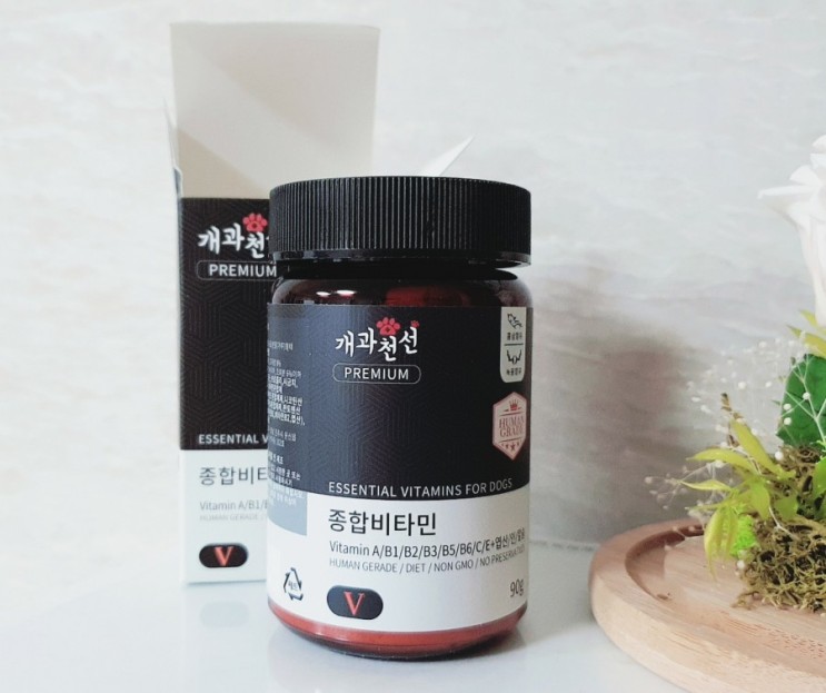 강아지영양제추천 개과천선 강아지종합비타민