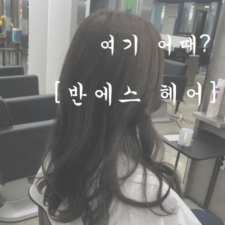 반에스 헤어, 신의 손✋  테오쌤의 클리닉 시술 리얼 후기