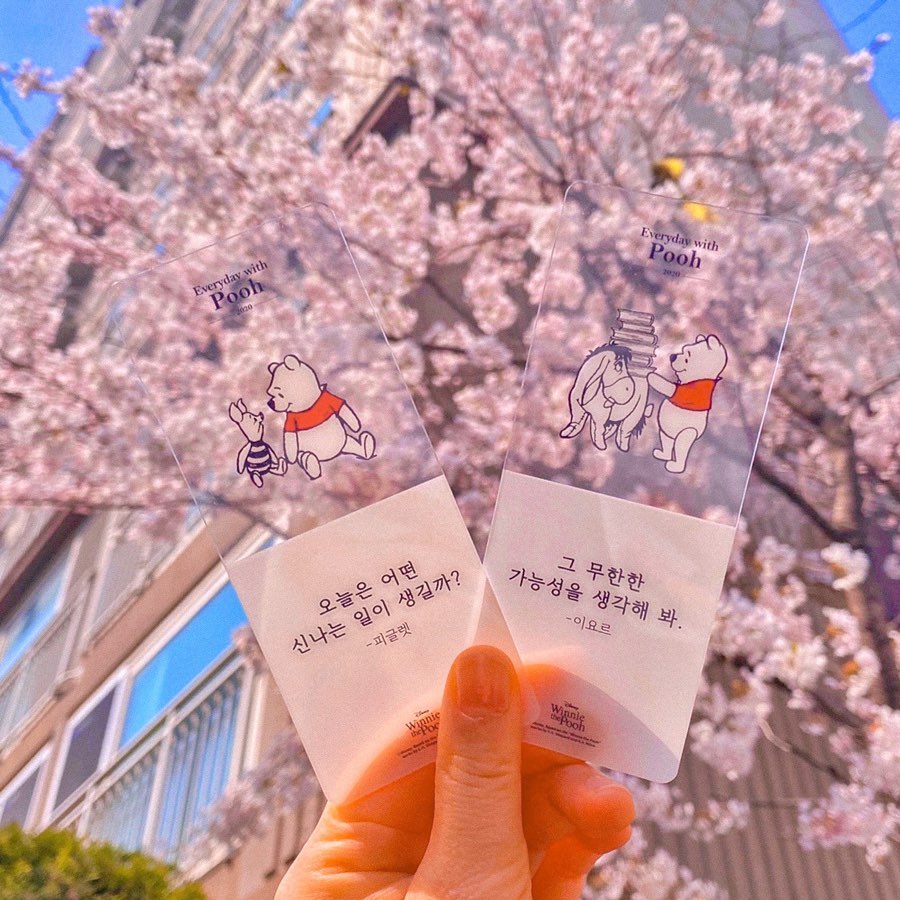 제로의 여행 🌎’s Instagram profile post: “🌸🌸🌸 ⠀ 사랑스러운 곰돌이 푸랑 집 앞으로 봄 산책 나왔어요. 저는 집 앞 그리고 동네 여기 저기가 다 팝콘 맛집이어서 따로 벚꽃 놀이를 갈 필요가 없답니다 🙅🏻‍♀️ ⠀ 사실 자랑거리가 또 있는데요, 2020에브리데이푸 캠페인으로 푸 굿즈를 왕창…”
