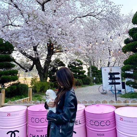 내새끼랑 벚꽃구경💕