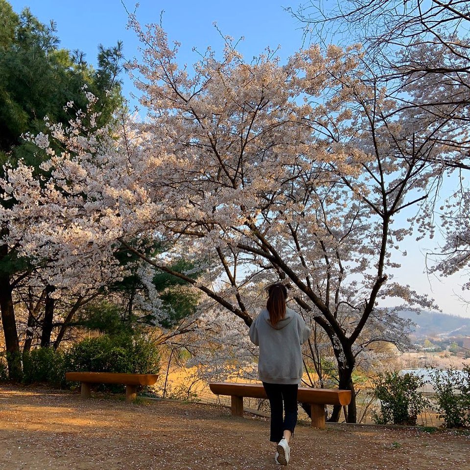 200407 | 오늘도 등산 성공...🌸⛰