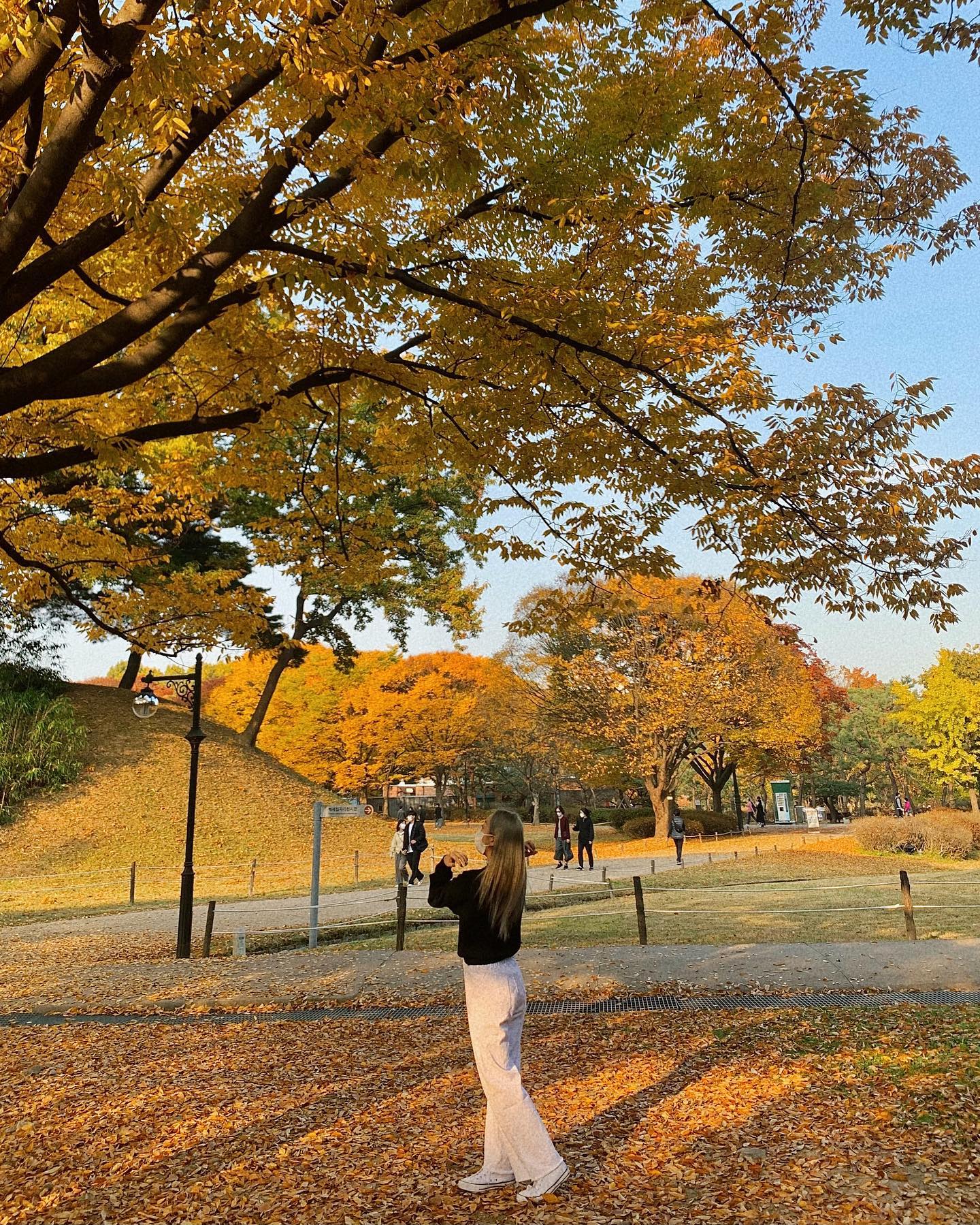 콘텐츠