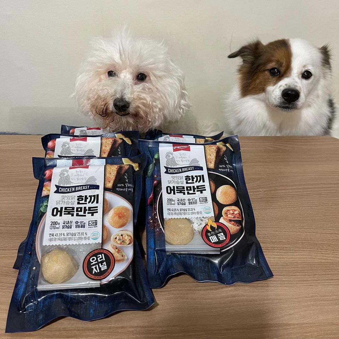 Luna🌙 on Instagram: “⠀ #협찬 요즘 왜이렇게 따끈따끈한게 먹고싶어질까요?? 그 중에서도 따뜻한 만두가 너무 땡겼는데 피키다이어트에서 맛있닭 닭가슴살 한끼 어묵만두를 보내주셨어요!!!