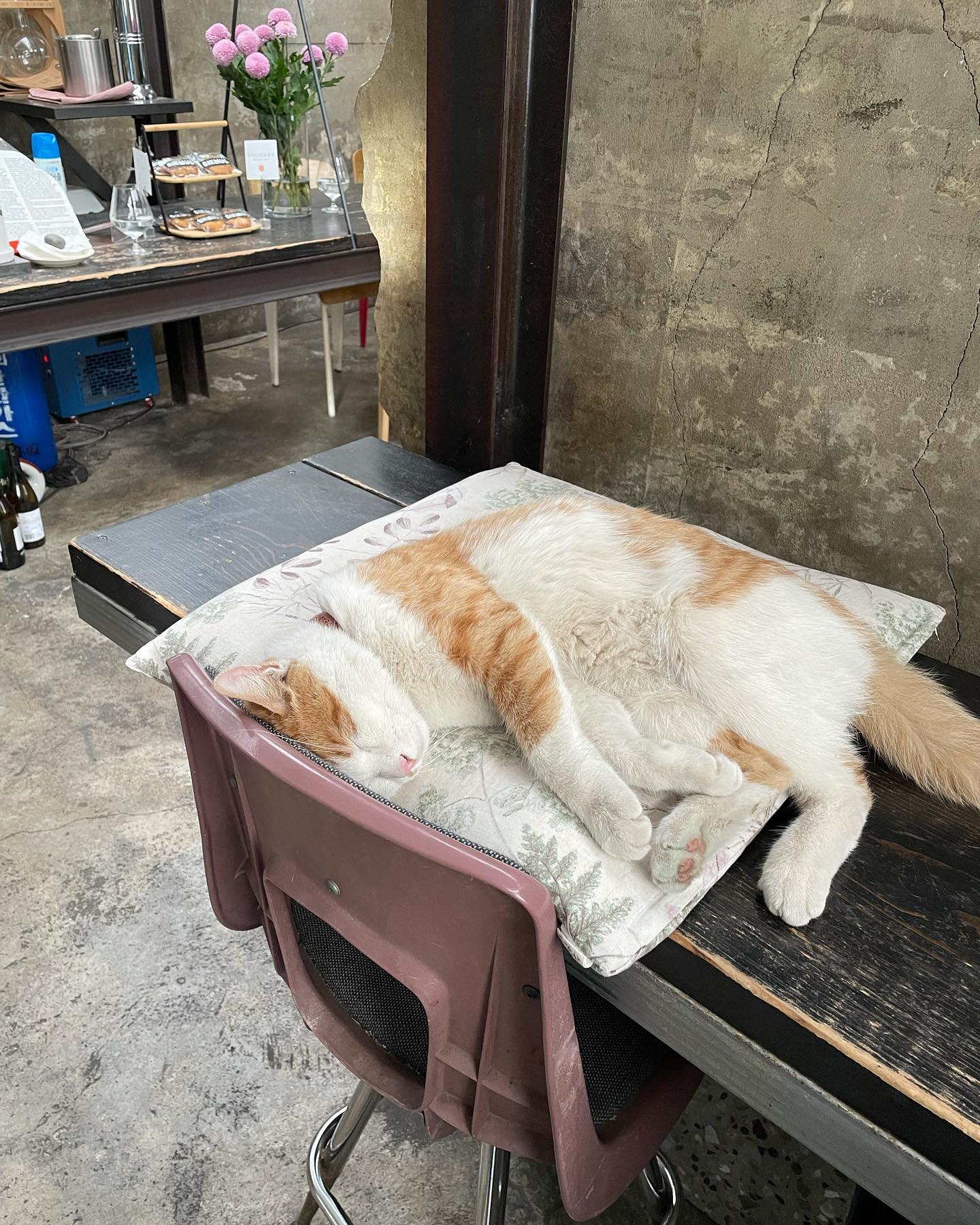 치명적이야