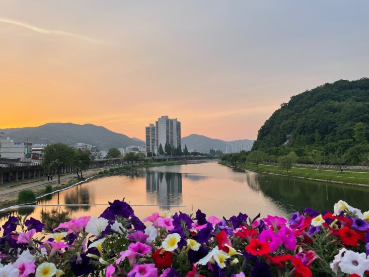순천 가볼만한곳-동천 해질녘 뷰