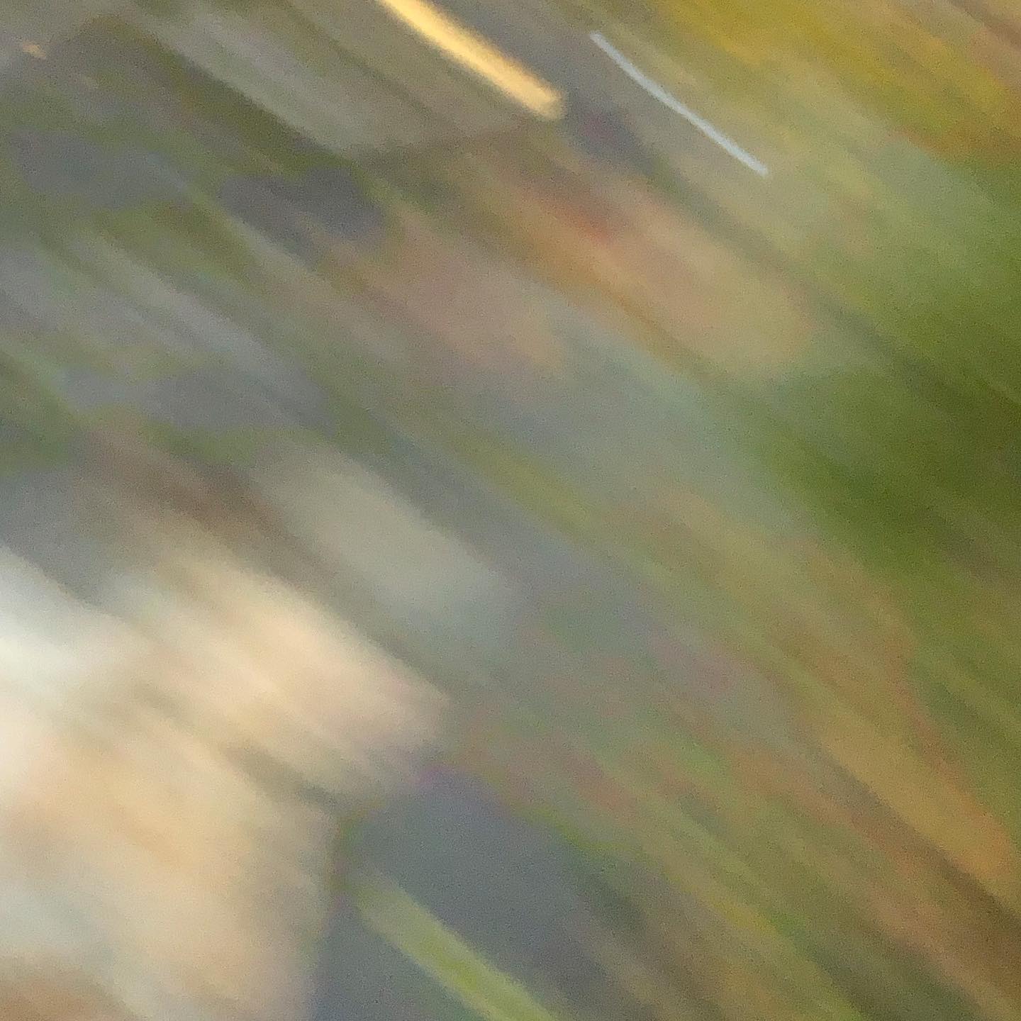 기억에 담아두고 싶은 가을 색감 🍂